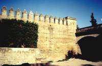 Cordoba - City Walls from River
